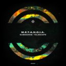 M.E.T.A.N.O.I.A. - Telescope
