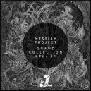MESSIAH project - Metamorphosis