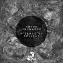 Anton Shumakov - Sleeplessness
