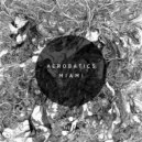 Aerobatics - Miami (Agent Z Remix)