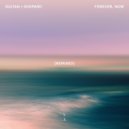 Sultan + Shepard & Tishmal - Losing Ground