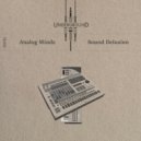 Analog Minds - Access Denied