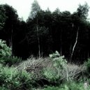 BLXXDY MURDER & ca$hnoad - FOREST SWAMP ()