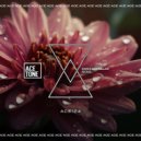 Max Millan, SWS - Soul (Original Mix)