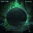 Josh Teed & STARFOX - Nibiru ()