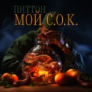 ПитТон - Думай Глубже (Аутро)