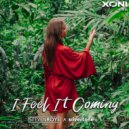Steven Roys & Silvertone - I Feel It Coming (Extended Mix)