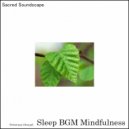 Sleep BGM Mindfulness - Gentle Serenity (Original Mix)
