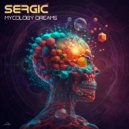 Sergic - Tyseen Street Shoe Shop (Original Mix)