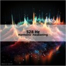 Miracle Wave - Illuminated Rhythms