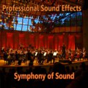 Professional Sound Effects Group & Seraphina Jane & Milano Philharmonic & The Music Man - Symphony of Sound 4067