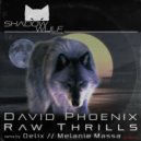 David Phoenix - Evacuate