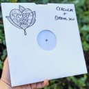 Daniel Schwerdel - Circular ()