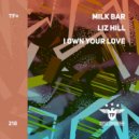 Milk Bar Ft. Lizz Hill - I Own Your Love