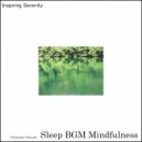 Sleep BGM Mindfulness - Music Therapy for Healing (Original Mix)