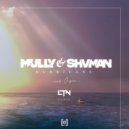 Mully & Shvman & Onyra - Hurricane (LTN Extended Remix)