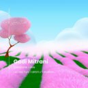 Gadi Mitrani - Sonshine Love