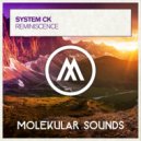 System Ck - Reminiscence