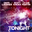 David Luebner feat. Scott Knoxx & Le Che Martin - Tonight (Acapella)