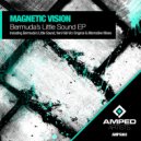 Magnetic Vision - Veni Vidi Voci
