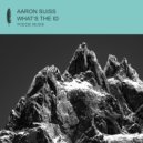 Aaron Suiss, Jay Perlestein - What's The Meaning