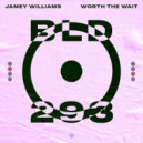Jamey Williams, Sydtherockerkid - Worth The Wait (Extended Mix)