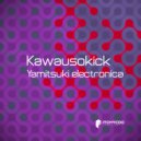 Kawausokick - Take U Underground (Original Mix)