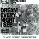 Burak Harsitlioglu Feat. Zoidiva - Dream Every Night I See