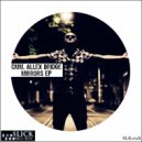 Cmm, Allex Bridge - Mirrors (BoogieNation Remix)