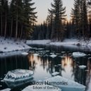 Echoes of Eternity - Nebulous Harmonies ()