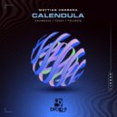 Mattias Herrera - Foxes