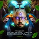 Pandora - Shivaya (Original Mix)
