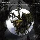 Paul Lennar, Favio Cavoni - Aira