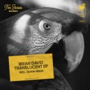 Brian David - Little Butterfly