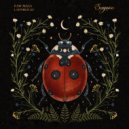 Raw Main - Ladybug