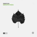 DISCO19 - Mesopotamia (Extended Mix)