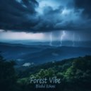 Blissful Echoes - Symphony of Silence ()