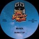 MuSol & Davos - Burn It Up