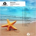 Bobryuko - Sound Traveler ()