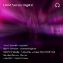 Nicolas Barnes - Barrier (Original Mix)