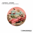 Hatiras + BISHØP - How You Gonna