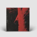 Mental Duality - Echoes of Existence