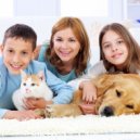 Pet Care Music Therapy & Good Morning Jazz Cafe & ChillHop Cafe - Jazz Melodies for Pets\' Comfort ()