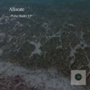 Allocate - Rider ()