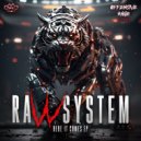 Raw System - Party Gone Bad