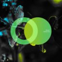 Wailey - Sensation