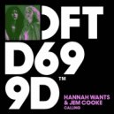 Hannah Wants, Jem Cooke - Calling