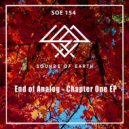 End of Analog - Voodoo