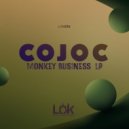 Cojoc - The World Hidden From Us