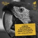 Facundo Sosa, STEREO MUNK, Dublew - Lost In Black